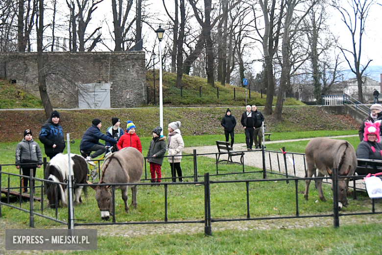 Bożonarodzeniowy jarmark na Kamienieckich Błoniach