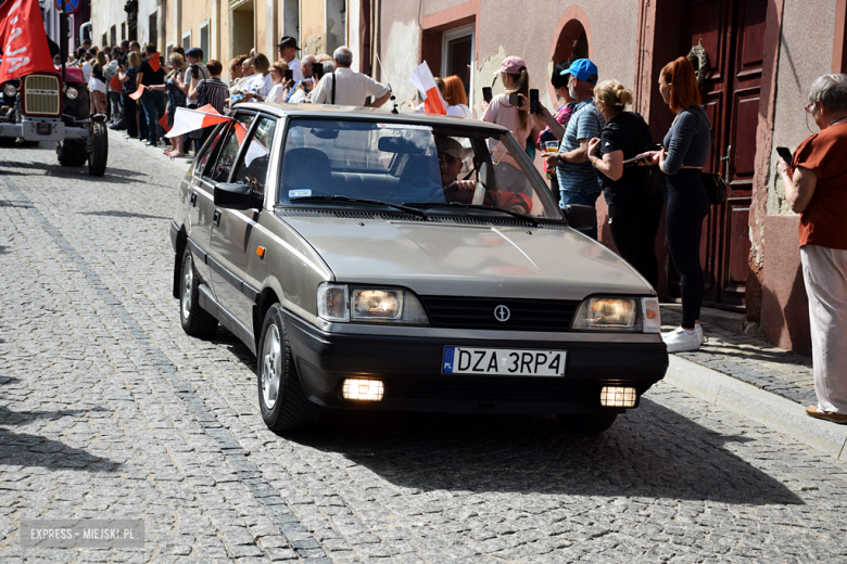 Towarzysze i towarzyszki na ulicach! Pierwszomajowy marsz otworzył Majówkę w Srebrnej Górze [foto]