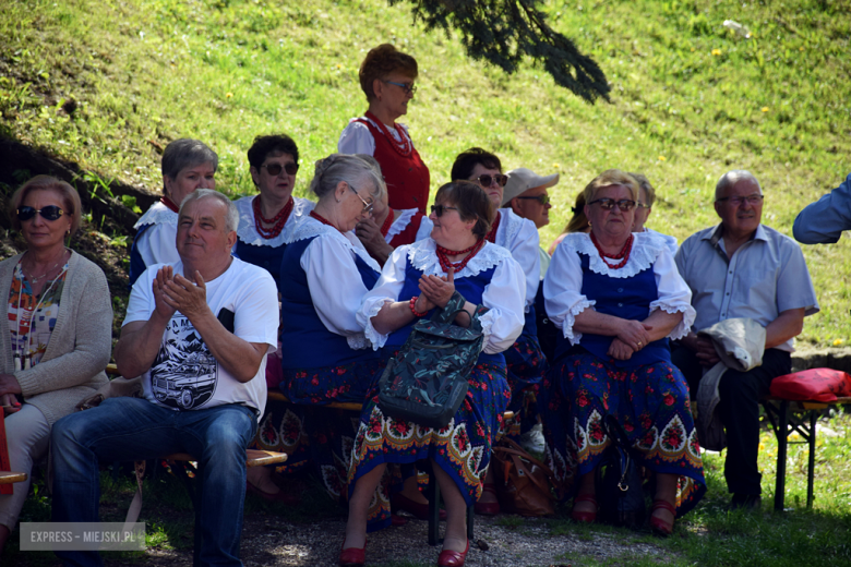 Towarzysze i towarzyszki na ulicach! Pierwszomajowy marsz otworzył Majówkę w Srebrnej Górze [foto]