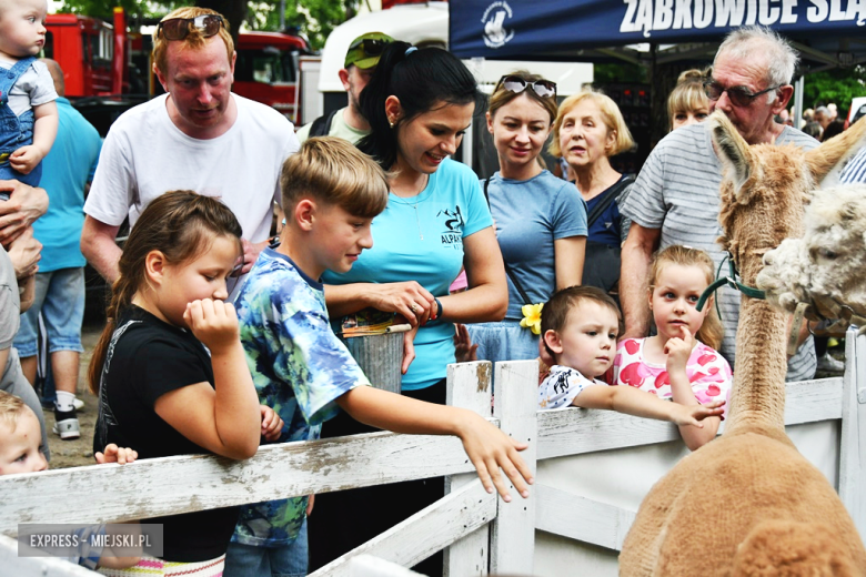 Dzień Dziecka w Ząbkowicach Śląskich 