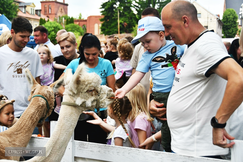 Dzień Dziecka w Ząbkowicach Śląskich 