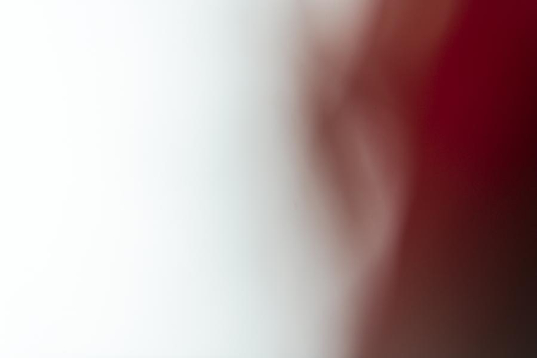Siatkarskie święto w Ziębicach. Polacy lepsi od Niemców