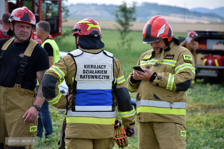 Awionetka spadła na pole. Trwa akcja ratunkowa 