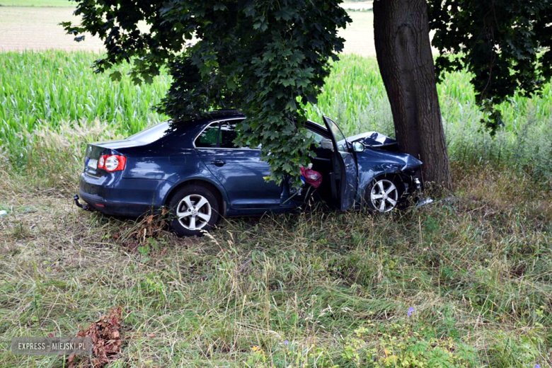 Zjechał z drogi i uderzył w drzewo