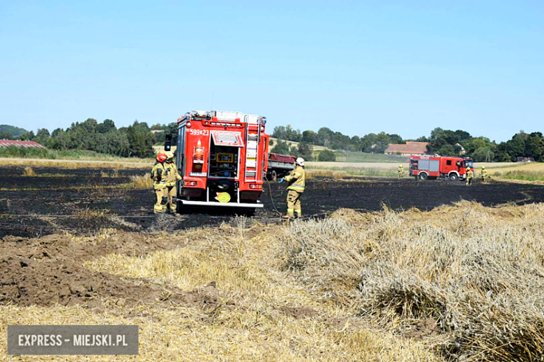 Pożar ścierniska w Sosnowej. Interweniowało kilka jednostek straży pożarnej