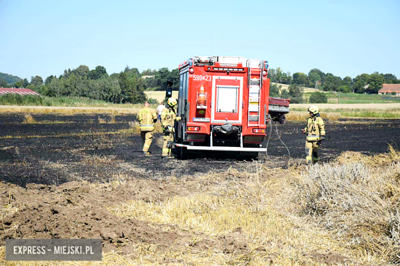 Pożar ścierniska w Sosnowej. Interweniowało kilka jednostek straży pożarnej