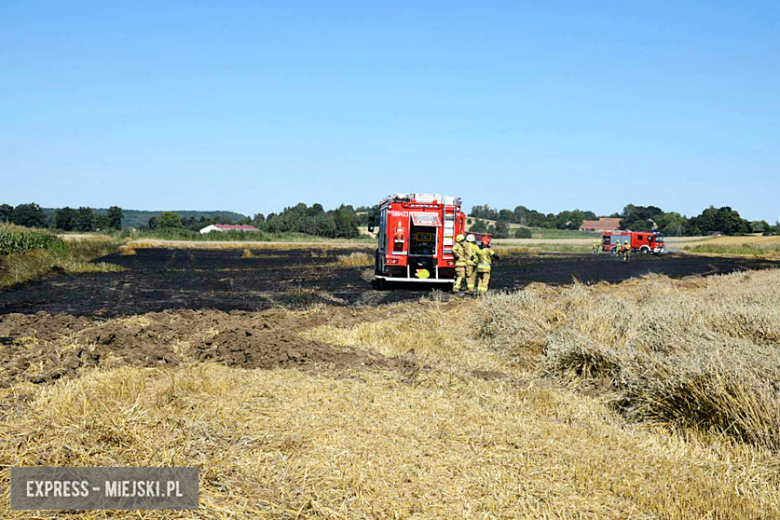 Pożar ścierniska w Sosnowej. Interweniowało kilka jednostek straży pożarnej