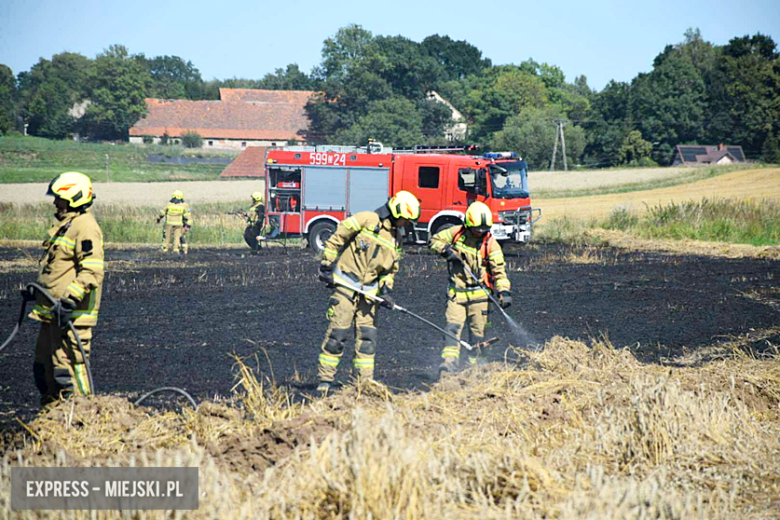 Pożar ścierniska w Sosnowej. Interweniowało kilka jednostek straży pożarnej