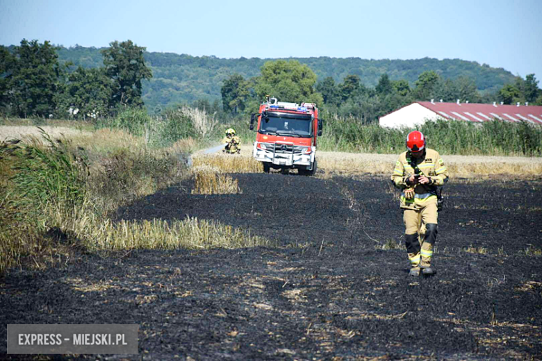 Pożar ścierniska w Sosnowej. Interweniowało kilka jednostek straży pożarnej