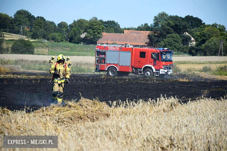 Pożar ścierniska w Sosnowej. Interweniowało kilka jednostek straży pożarnej