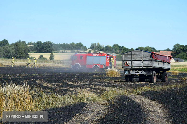 Pożar ścierniska w Sosnowej. Interweniowało kilka jednostek straży pożarnej