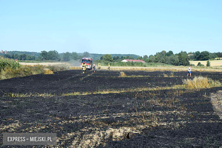 Pożar ścierniska w Sosnowej. Interweniowało kilka jednostek straży pożarnej