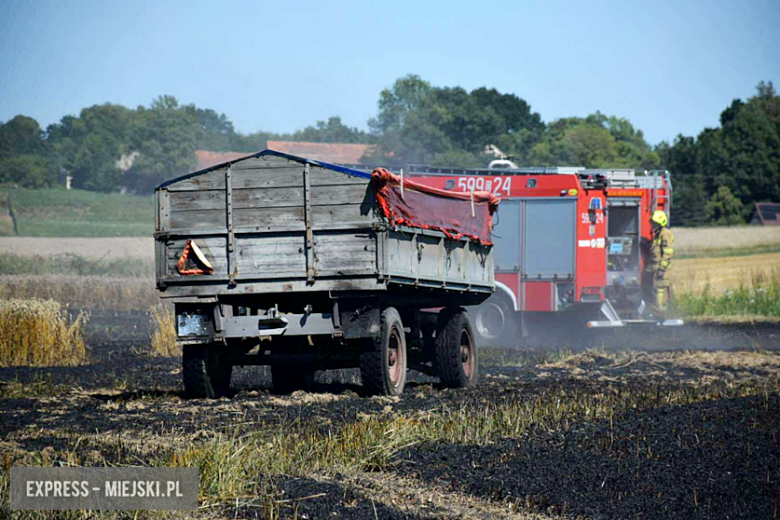 Pożar ścierniska w Sosnowej. Interweniowało kilka jednostek straży pożarnej