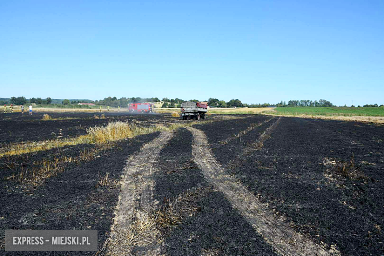Pożar ścierniska w Sosnowej. Interweniowało kilka jednostek straży pożarnej