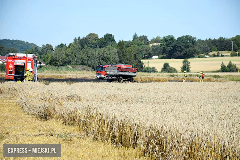 Pożar ścierniska w Sosnowej. Interweniowało kilka jednostek straży pożarnej