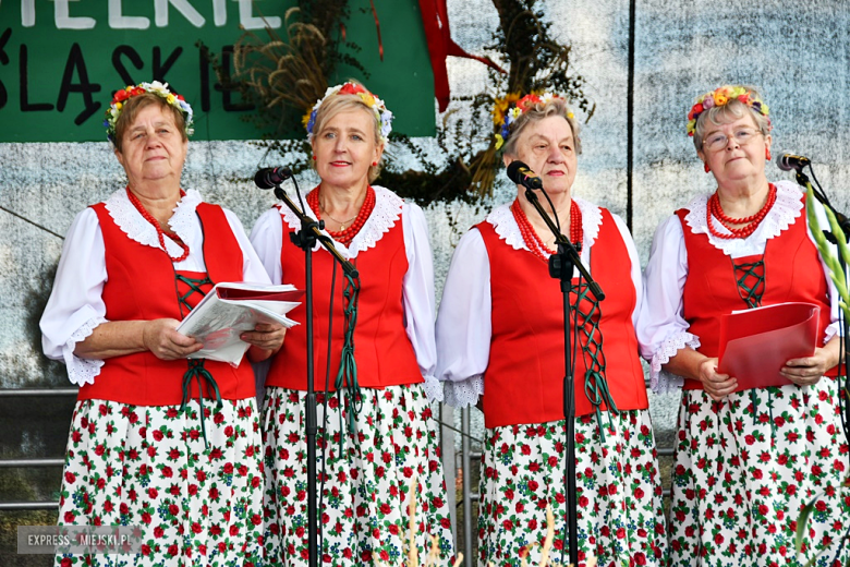 Muzyka, tradycja i turniej sołectw – dożynki gminne w Olbrachcicach Wielkich