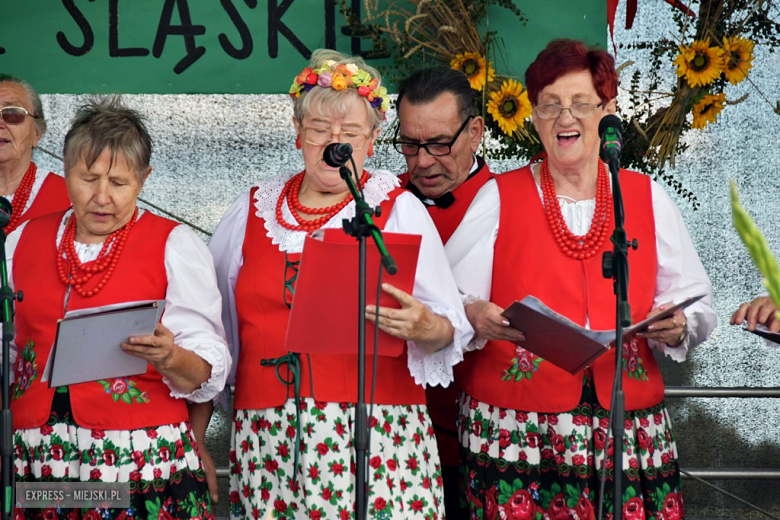 Muzyka, tradycja i turniej sołectw – dożynki gminne w Olbrachcicach Wielkich