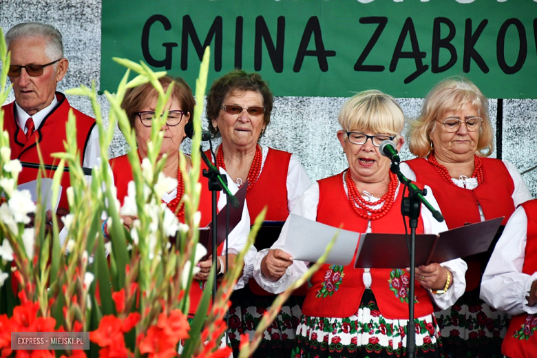 Muzyka, tradycja i turniej sołectw – dożynki gminne w Olbrachcicach Wielkich