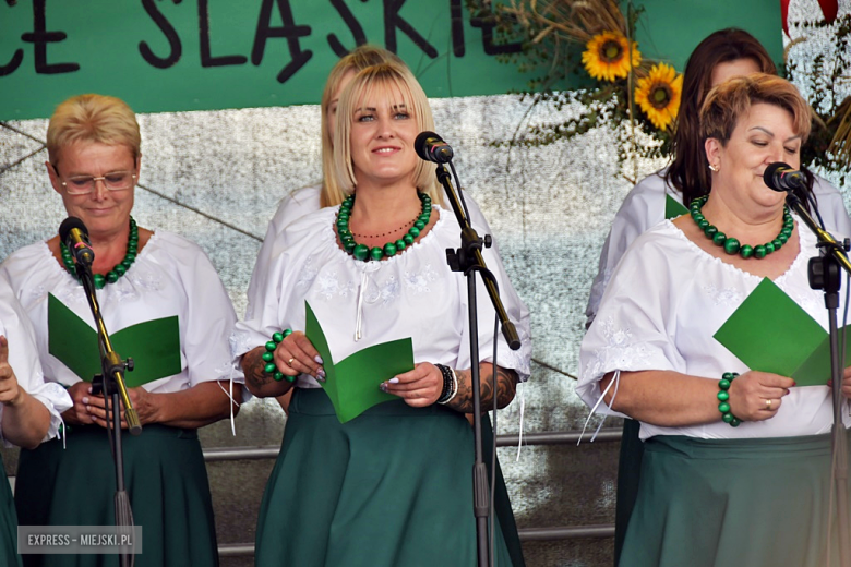 Muzyka, tradycja i turniej sołectw – dożynki gminne w Olbrachcicach Wielkich