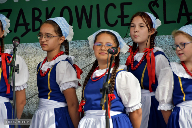 Muzyka, tradycja i turniej sołectw – dożynki gminne w Olbrachcicach Wielkich