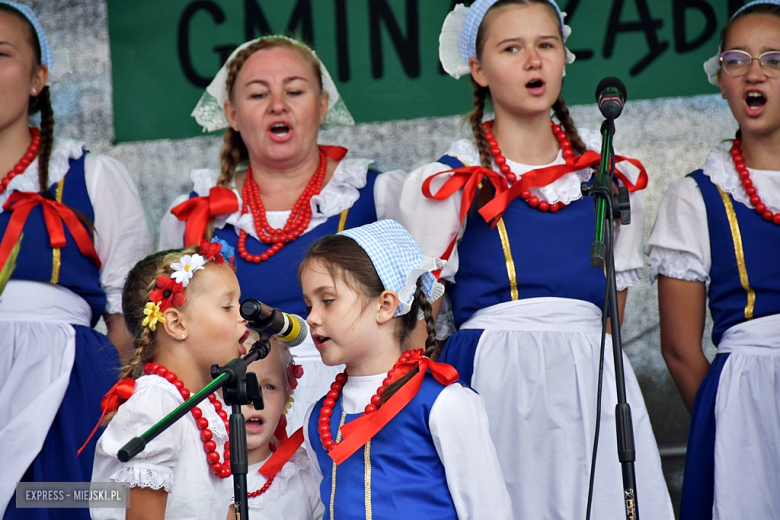 Muzyka, tradycja i turniej sołectw – dożynki gminne w Olbrachcicach Wielkich