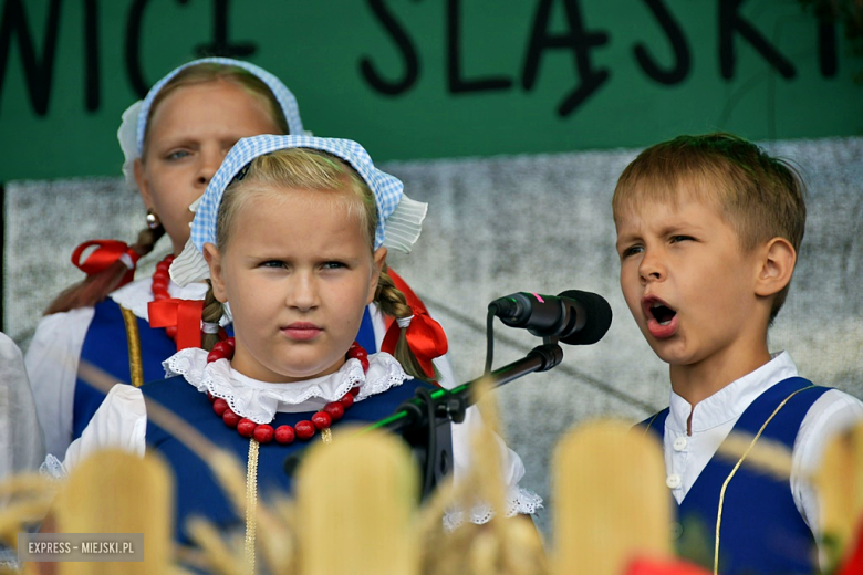 Muzyka, tradycja i turniej sołectw – dożynki gminne w Olbrachcicach Wielkich