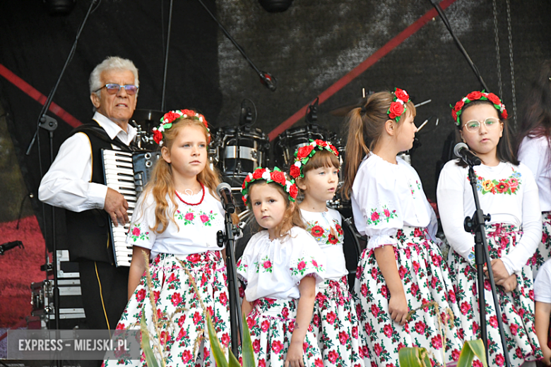 Dożynki powiatowo-gminne w Przyłęku