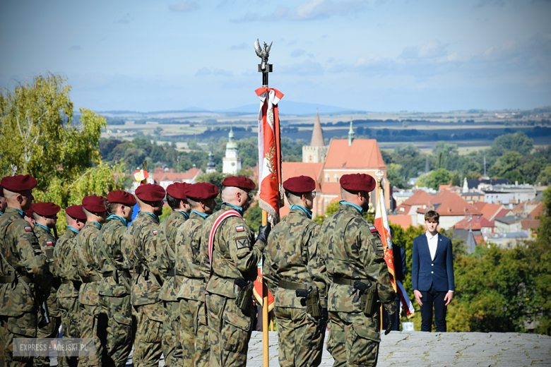 „Ludzkość musi położyć kres wojnie [...]”  Powiatowa Uroczystość Kombatancka w Ziębicach [foto]