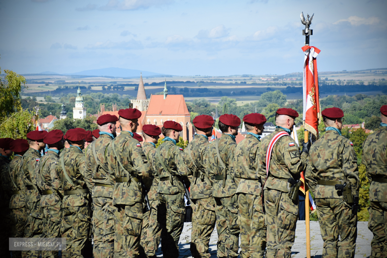 „Ludzkość musi położyć kres wojnie [...]”  Powiatowa Uroczystość Kombatancka w Ziębicach [foto]