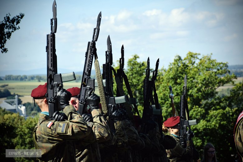 „Ludzkość musi położyć kres wojnie [...]”  Powiatowa Uroczystość Kombatancka w Ziębicach [foto]