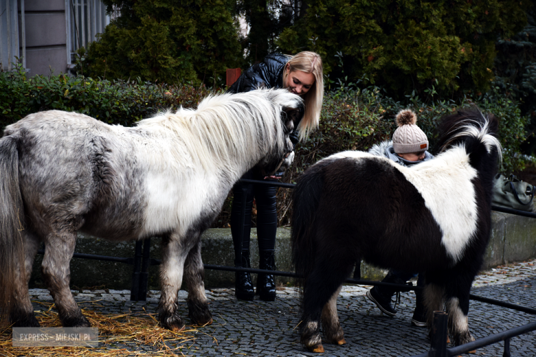 W Złotym Stoku trwa Górniczy Jarmark Bożonarodzeniowy [foto]