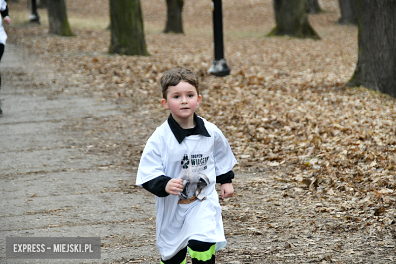 Bieg „Tropem Wilczym” w Kamieńcu Ząbkowickim. Uczczono pamięć Żołnierzy Wyklętych