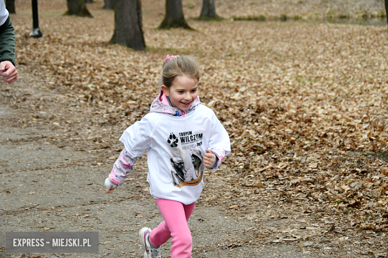 Bieg „Tropem Wilczym” w Kamieńcu Ząbkowickim. Uczczono pamięć Żołnierzy Wyklętych