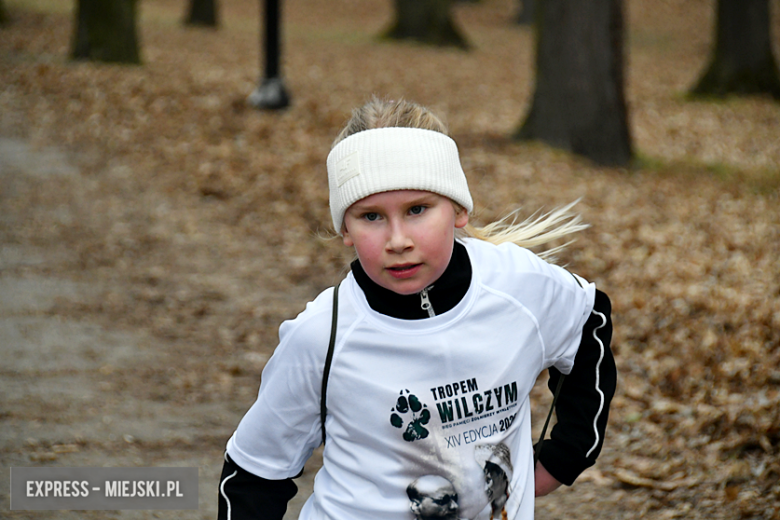 Bieg „Tropem Wilczym” w Kamieńcu Ząbkowickim. Uczczono pamięć Żołnierzy Wyklętych