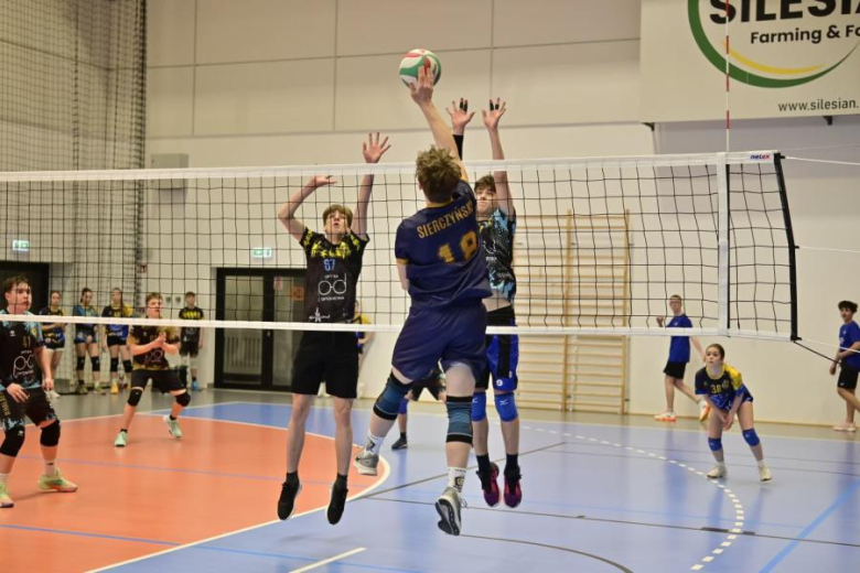 Siatkarscy juniorzy młodsi z Dolnego Śląska rywalizowali w Ziębicach [foto]