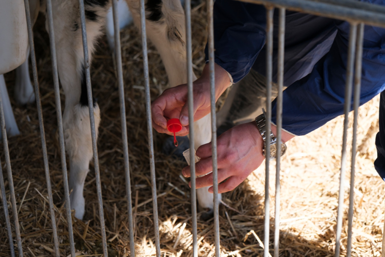 Lekarze weterynarii odbyli zajęcia specjalizacyjne w OHZ w Starczowie