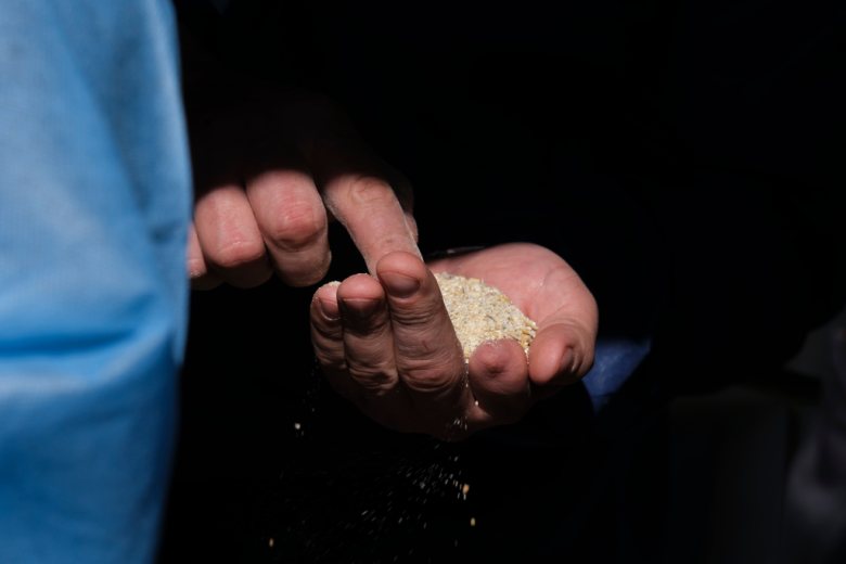 Lekarze weterynarii odbyli zajęcia specjalizacyjne w OHZ w Starczowie