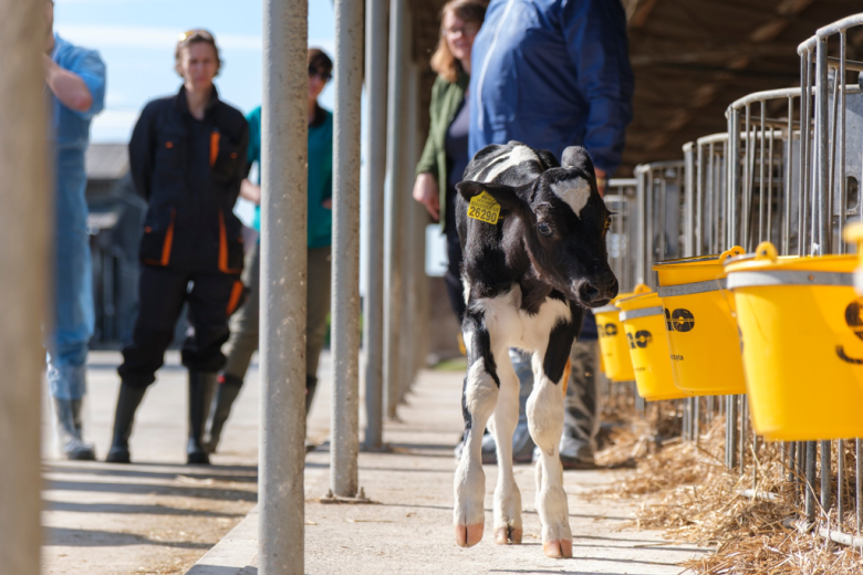 Lekarze weterynarii odbyli zajęcia specjalizacyjne w OHZ w Starczowie