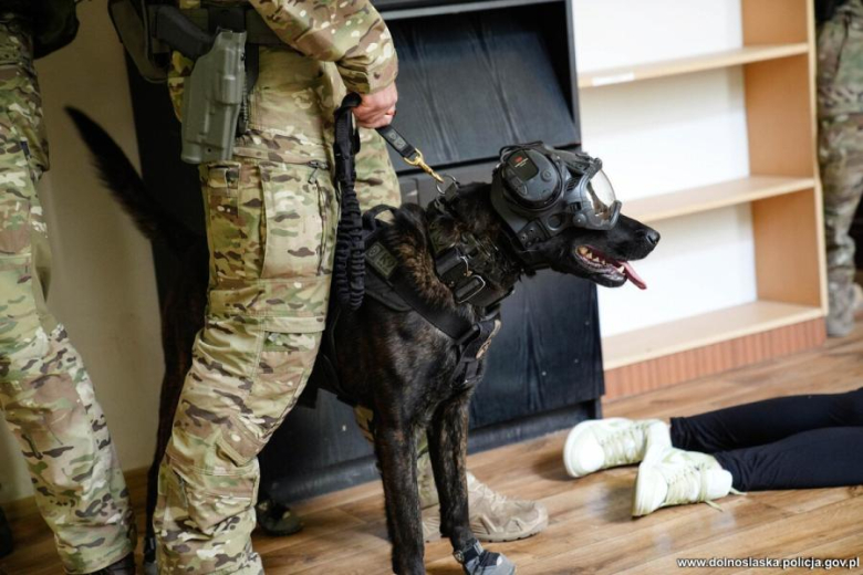 Antyterroryści, śmigłowce i zakładnicy. Spektakularne ćwiczenia służb w Henrykowie
