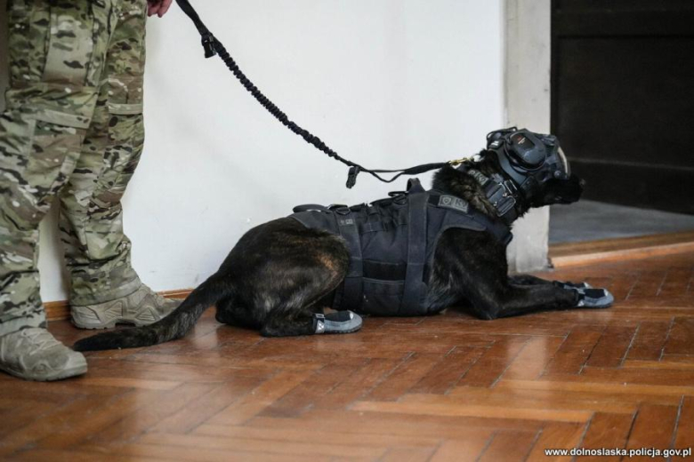 Antyterroryści, śmigłowce i zakładnicy. Spektakularne ćwiczenia służb w Henrykowie