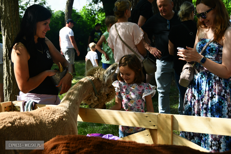 Kolorowa Parada Bajek i moc atrakcji. Tak świętowano Dzień Dziecka w Ząbkowicach Śląskich