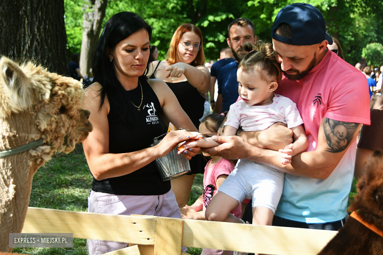Kolorowa Parada Bajek i moc atrakcji. Tak świętowano Dzień Dziecka w Ząbkowicach Śląskich