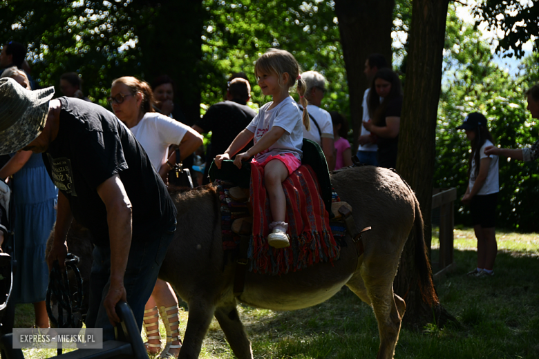Kolorowa Parada Bajek i moc atrakcji. Tak świętowano Dzień Dziecka w Ząbkowicach Śląskich