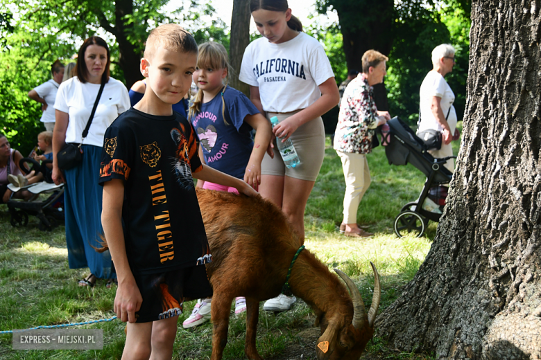 Kolorowa Parada Bajek i moc atrakcji. Tak świętowano Dzień Dziecka w Ząbkowicach Śląskich