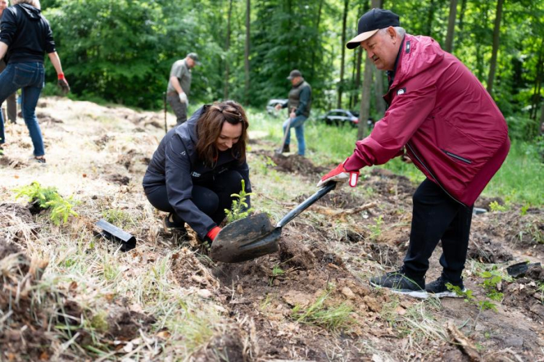Pół tysiąca nowych drzew w Lesie Muszkowickim. Samorządowcy i leśnicy wspólnie sadzili świerki