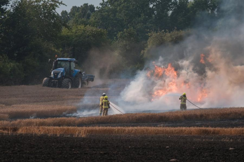 Spłonęło 15 ha pszenicy na pniu oraz 5 ha ścierniska