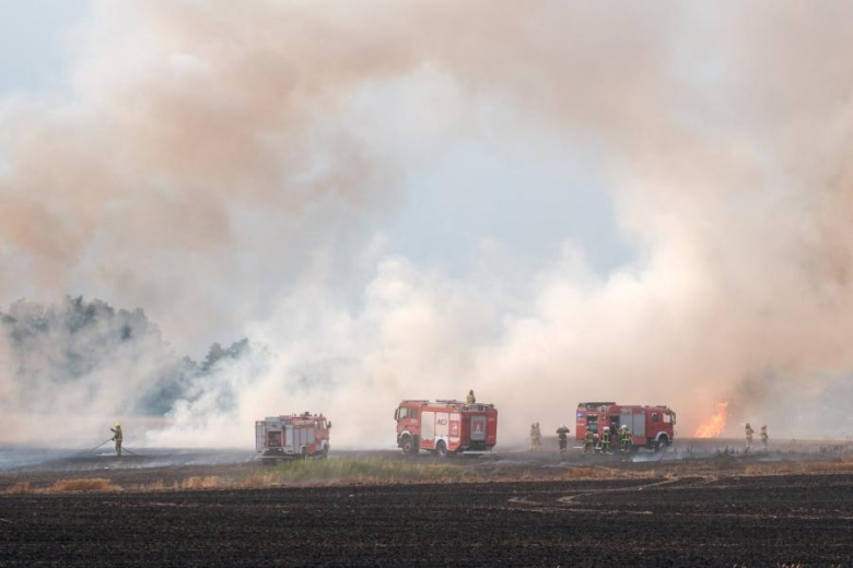 Spłonęło 15 ha pszenicy na pniu oraz 5 ha ścierniska