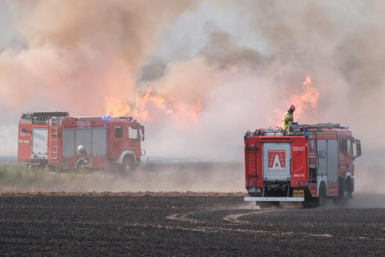 Spłonęło 15 ha pszenicy na pniu oraz 5 ha ścierniska