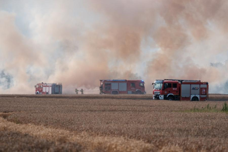Spłonęło 15 ha pszenicy na pniu oraz 5 ha ścierniska