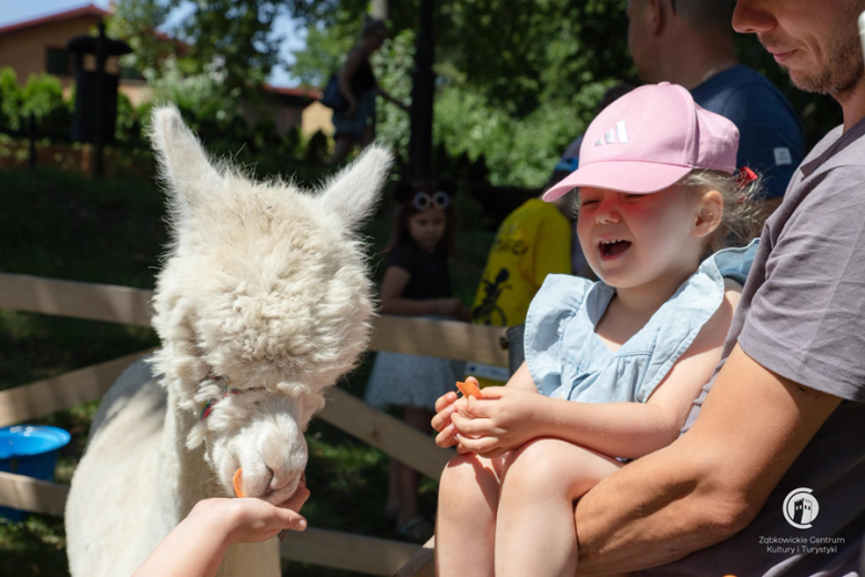 Piknik integracyjny w Parku Sybiraków